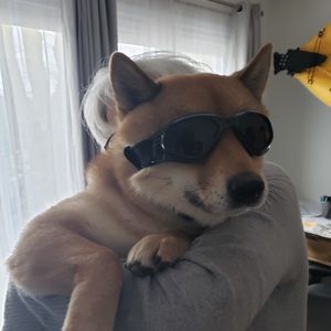 Meet your Posher, Elle